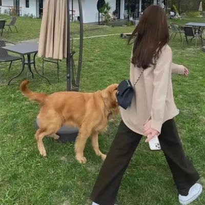 超级赢家
